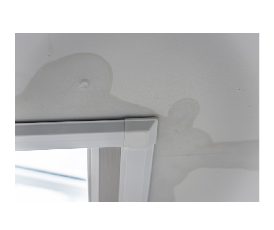 Untitled design (12)