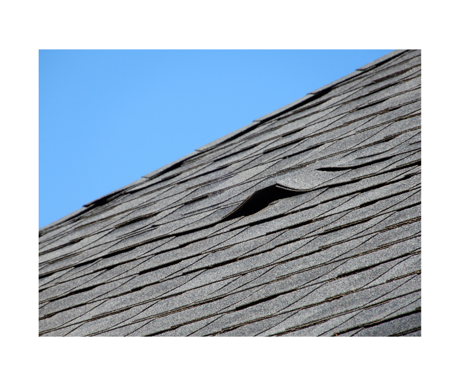 Untitled design (32)